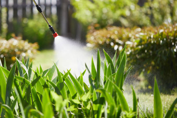 24/7 Emergency Wasp Removal experts in Franklin, WI