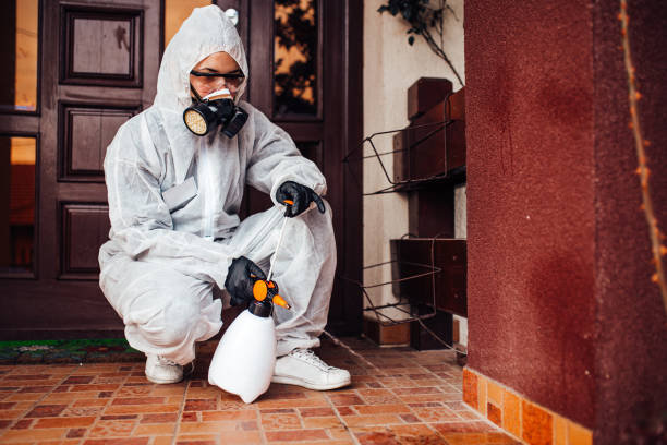 Reliable Wasp Removal contractor in Franklin, WI by Show Me Pest Control
